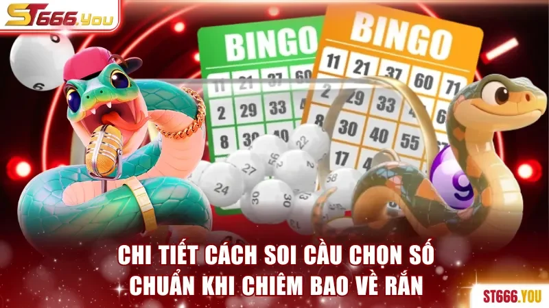 Mơ Thấy Rắn Báo Điềm Gì? Giải Mã Bất Ngờ Cùng ST666 4 Chi tiết cách soi cầu chọn số chuẩn khi chiêm bao về rắn