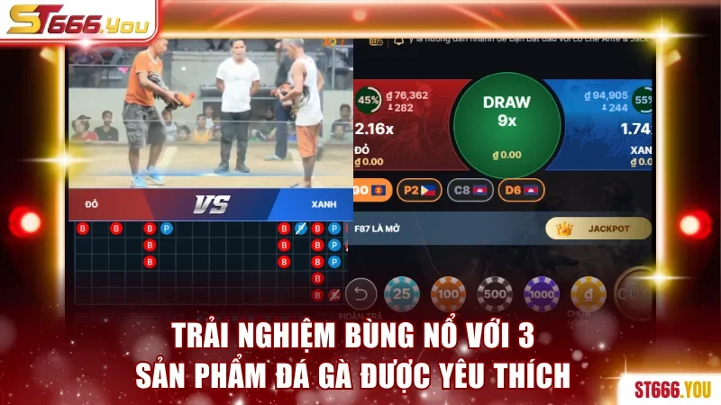Trải nghiệm bùng nổ với 3 sản phẩm đá gà được yêu thích 