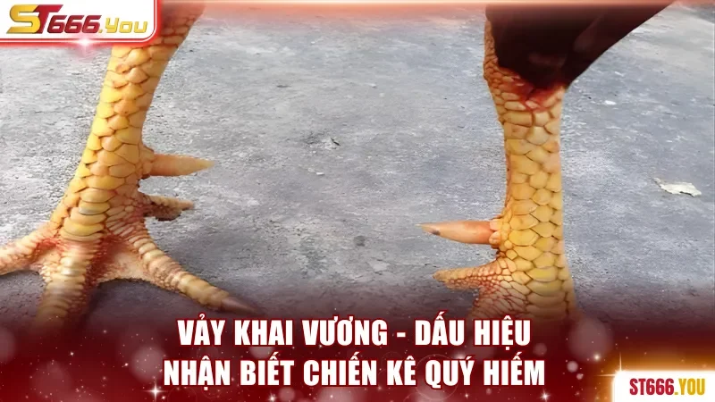 Vảy Khai Vương